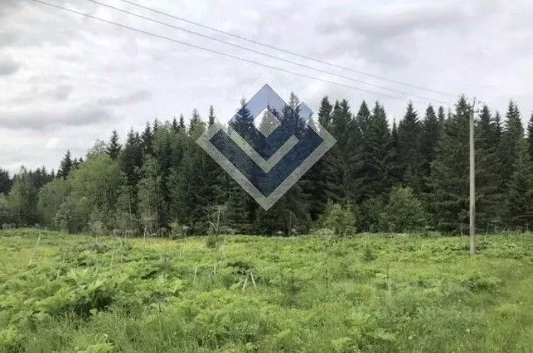 Участок в Пермский край, Краснокамский муниципальный округ, с. ... - Фото 1