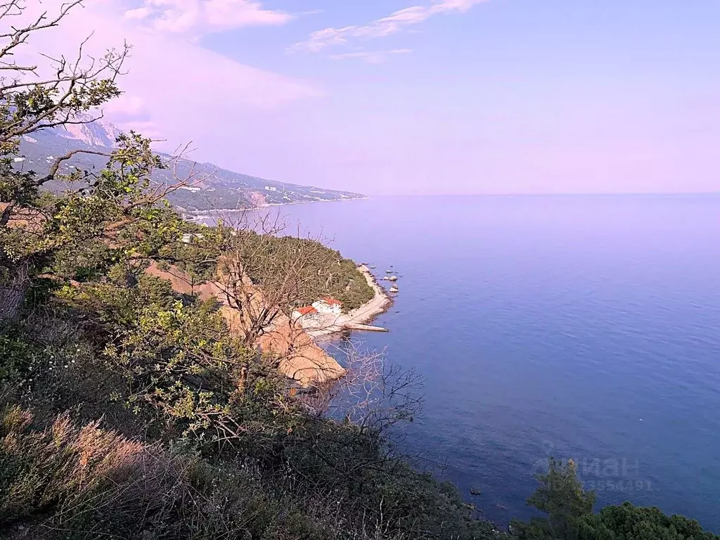 Участок в Крым, Ялта муниципальный округ, Санаторное пгт ул. Гагарина, ... - Фото 2