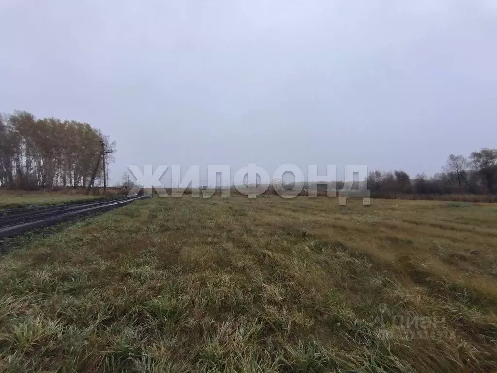 Участок в Новосибирская область, Новосибирский район, Верх-Тулинский ... - Фото 2