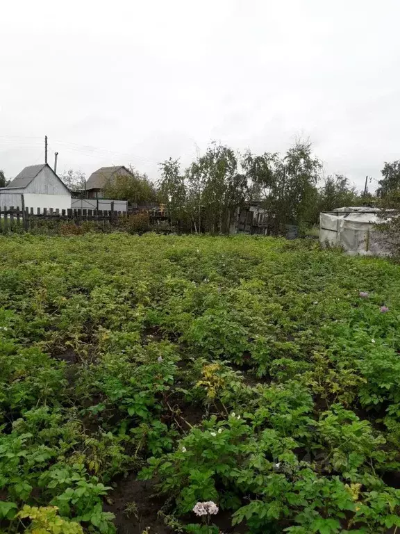 Участок в Саха (Якутия), Якутск ул. Ойунского, 8 (12.0 сот.) - Фото 1