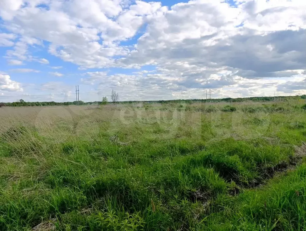 Участок 5,55 га (СНТ, ДНП) - Фото 1