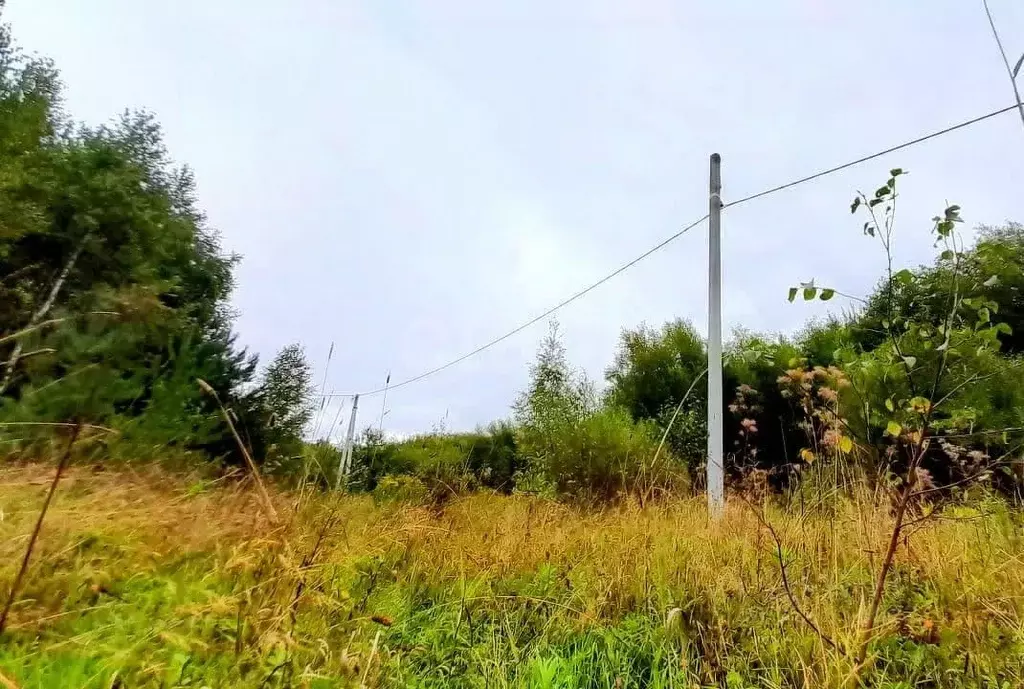 Участок в Кировская область, Киров городской округ, д. Чарушины  (10.5 ... - Фото 1