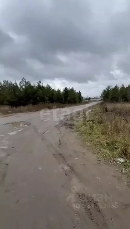 Участок в Удмуртия, Завьяловский район, д. Каменное  (100.0 сот.) - Фото 1