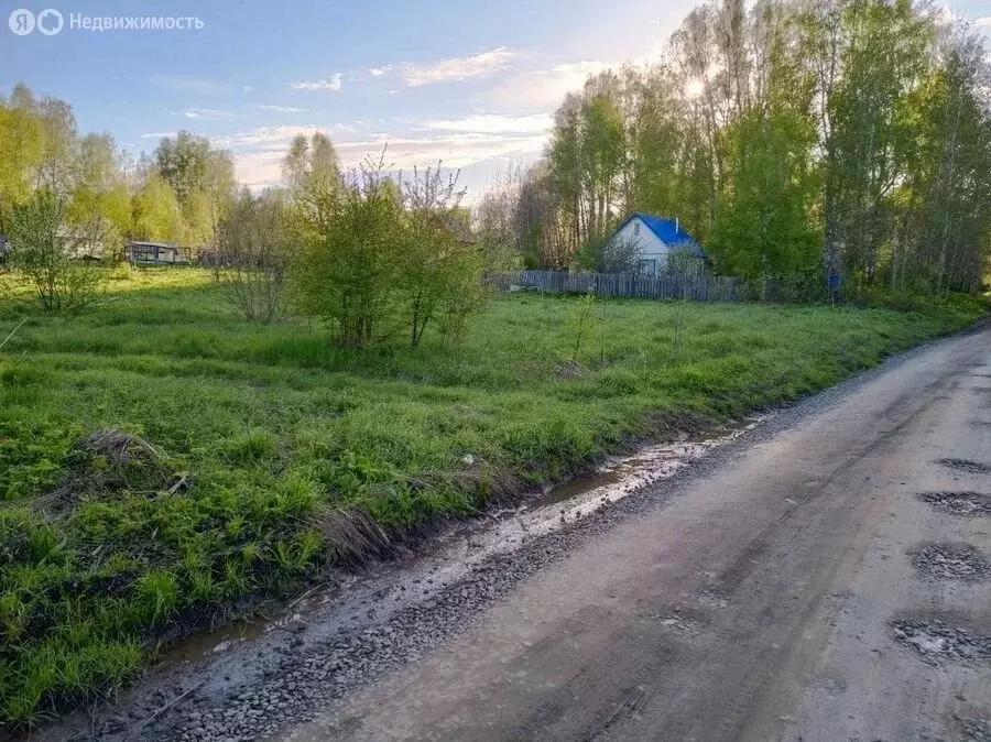 Участок в Новосибирский район, посёлок Мичуринский (5 м) - Фото 1