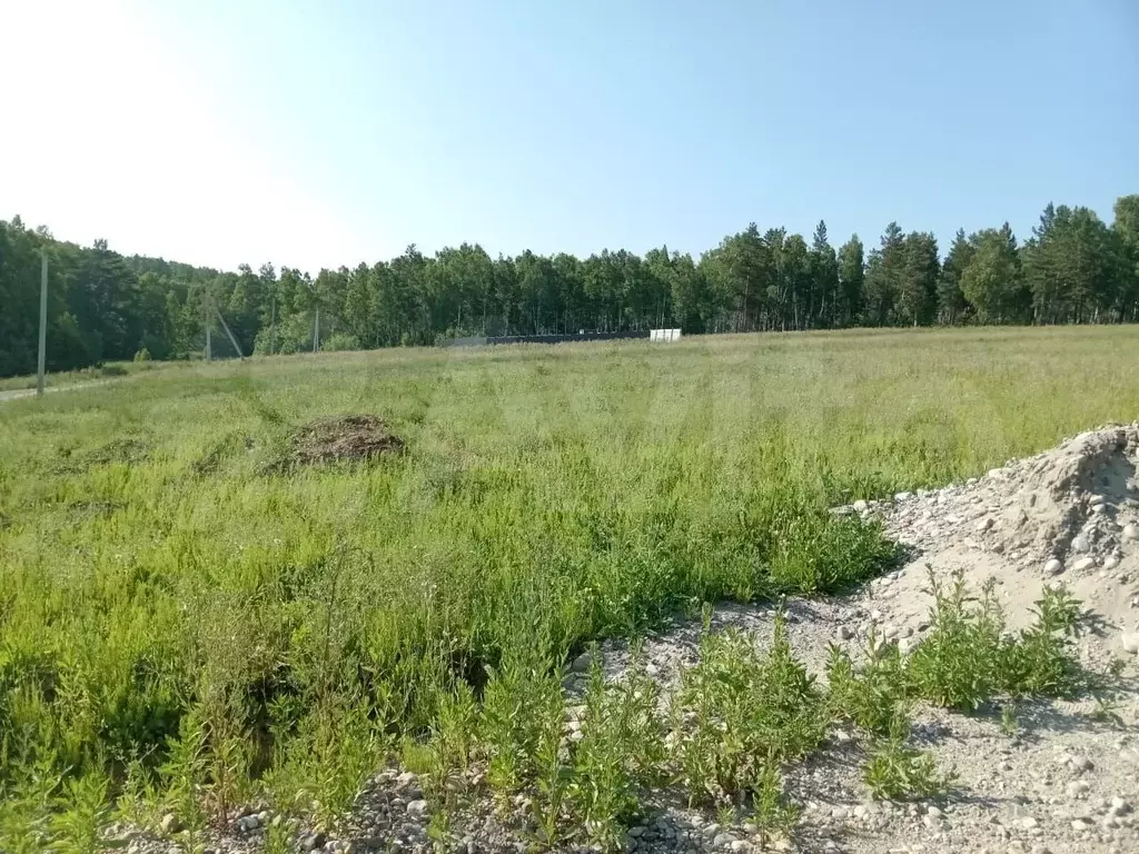 Участок 10 сот. (ИЖС) - Фото 1