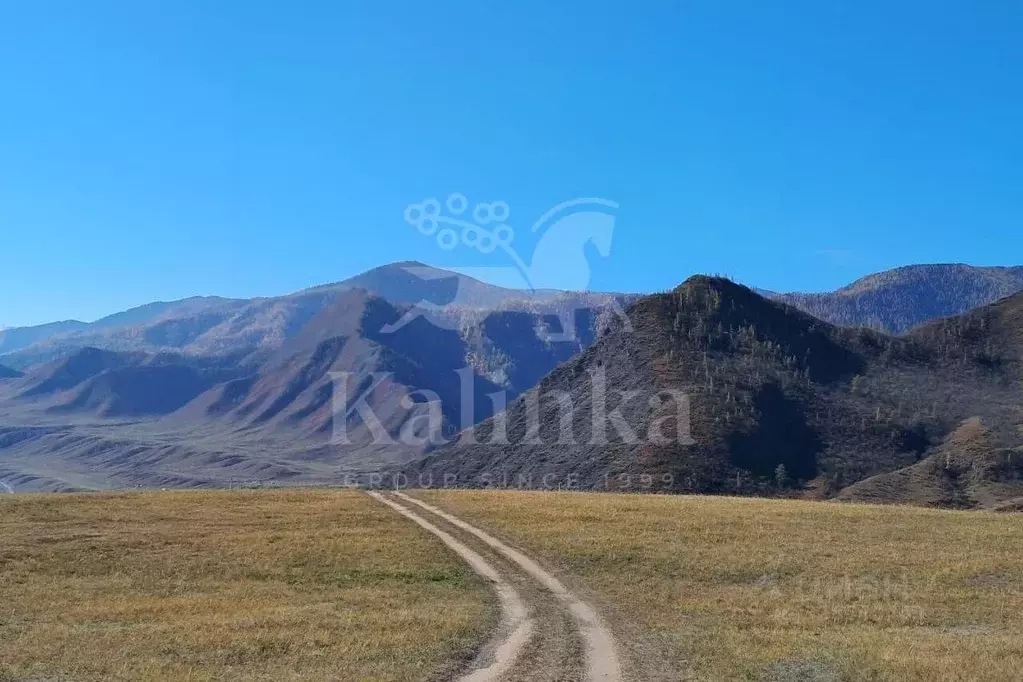 Участок в Алтай, Онгудайский район, с. Иня  (800.0 сот.) - Фото 2