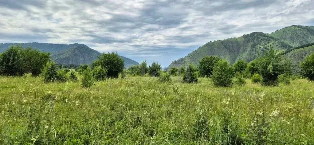 Участок в Алтай, Чемальский район, с. Анос  (15.0 сот.) - Фото 1