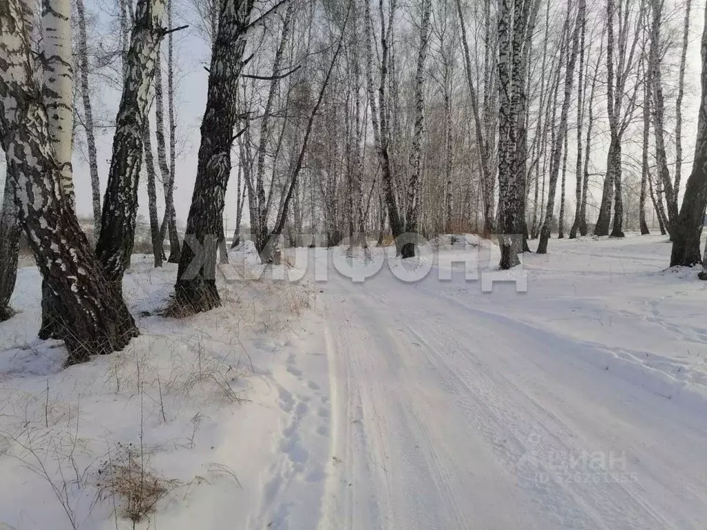 Участок в Новосибирская область, Бердск ул. Кирпичный Завод (10.17 ... - Фото 1