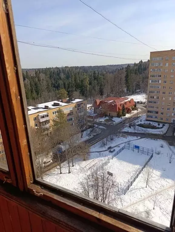 2-к кв. Московская область, Солнечногорск городской округ, Менделеево ... - Фото 1