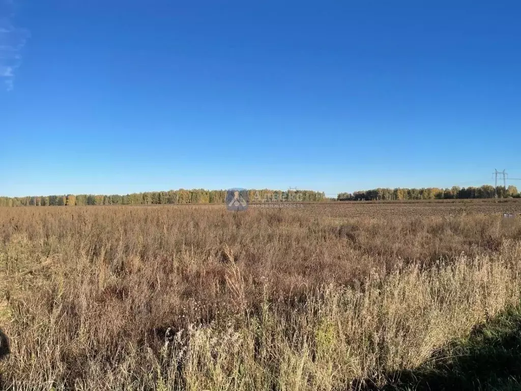 Участок в Тюменская область, Нижнетавдинский муниципальный округ, ... - Фото 1