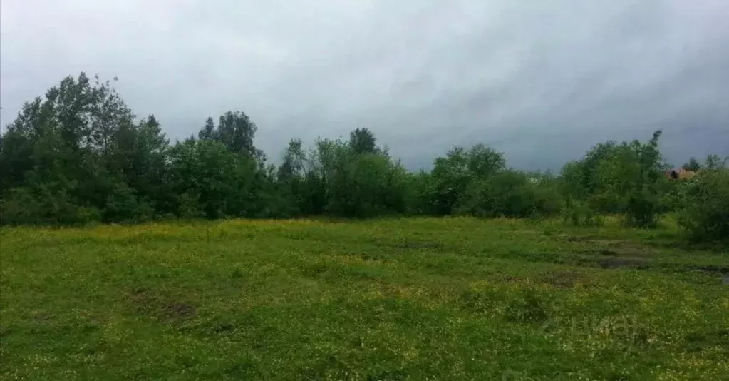 Участок в Калужская область, Перемышльский муниципальный округ, ... - Фото 1