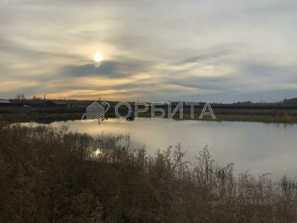 Участок в Тюменская область, Нижнетавдинский район, У Сосны ... - Фото 0