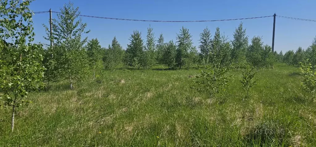 Участок в Московская область, Луховицы  (14.88 сот.) - Фото 2