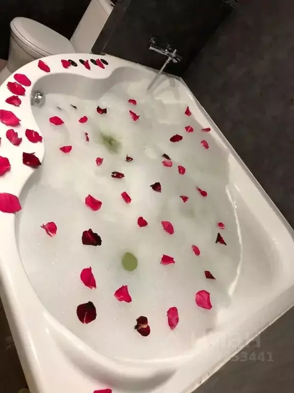 Студия Санкт-Петербург ул. Чекистов, 44 (35.0 м) - Фото 1