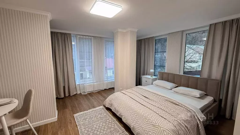 Студия Краснодарский край, Сочи Красная Поляна пгт, ул. ГЭС, 9/1 (27.0 ... - Фото 1