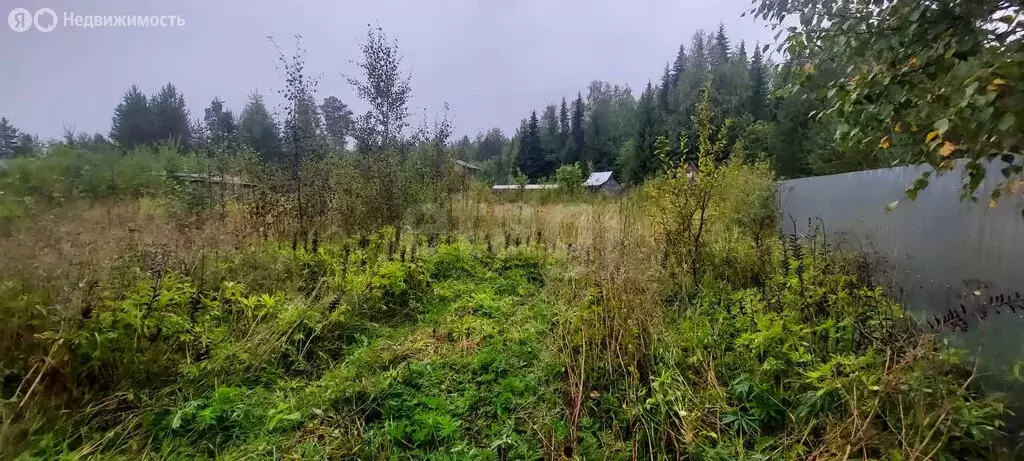 Участок в Республика Коми, муниципальный район Корткеросский, ... - Фото 0