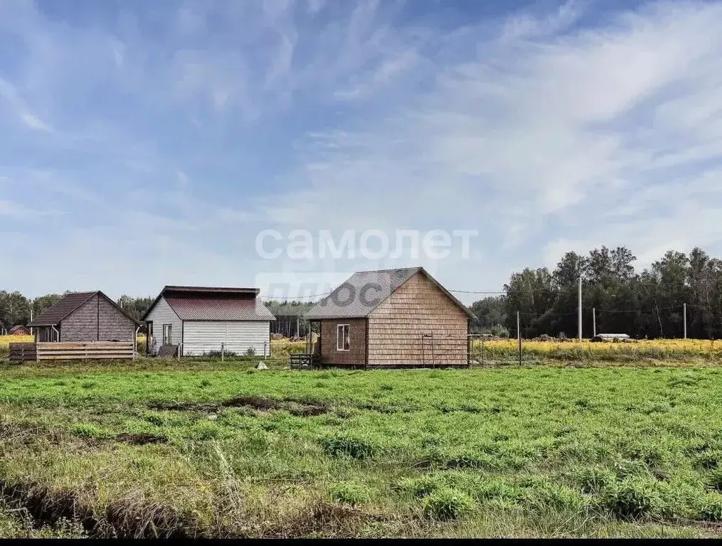 Участок в Новосибирская область, Мошковский район, Барлакский ... - Фото 1