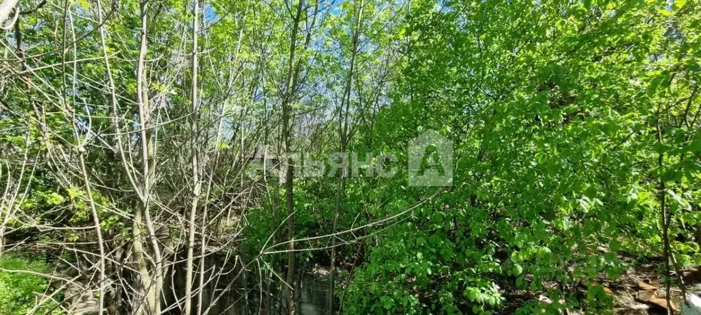 Участок в Ростовская область, Шахты ул. Обуховой (10.0 сот.) - Фото 1