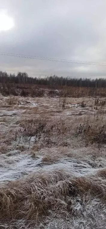 Участок в Московская область, Шатура муниципальный округ, пос. ... - Фото 0