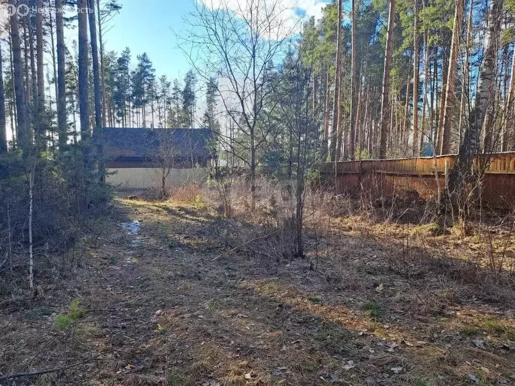 Участок в Шегарский район, СНТ Гармония (8 м) - Фото 1