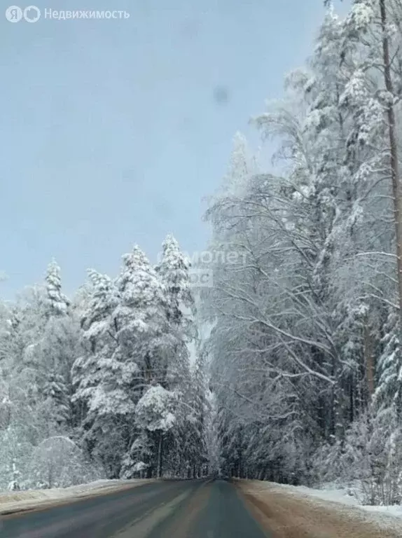 Участок в Московская область, городской округ Пушкинский, деревня ... - Фото 2