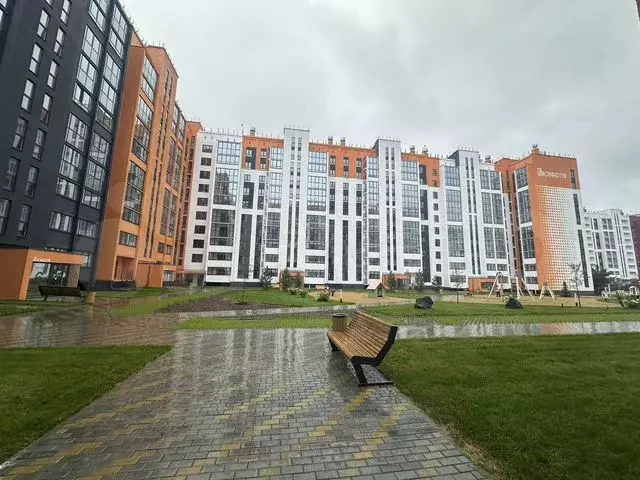 2-к. квартира, 50 м, 5/10 эт. - Фото 0