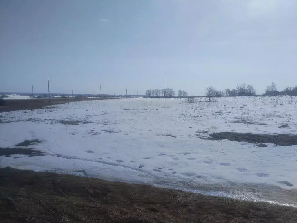 Участок в Московская область, Можайский муниципальный округ, д. Холм  ... - Фото 1