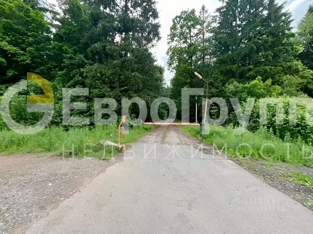 Участок в Московская область, Одинцовский городской округ, д. ... - Фото 1