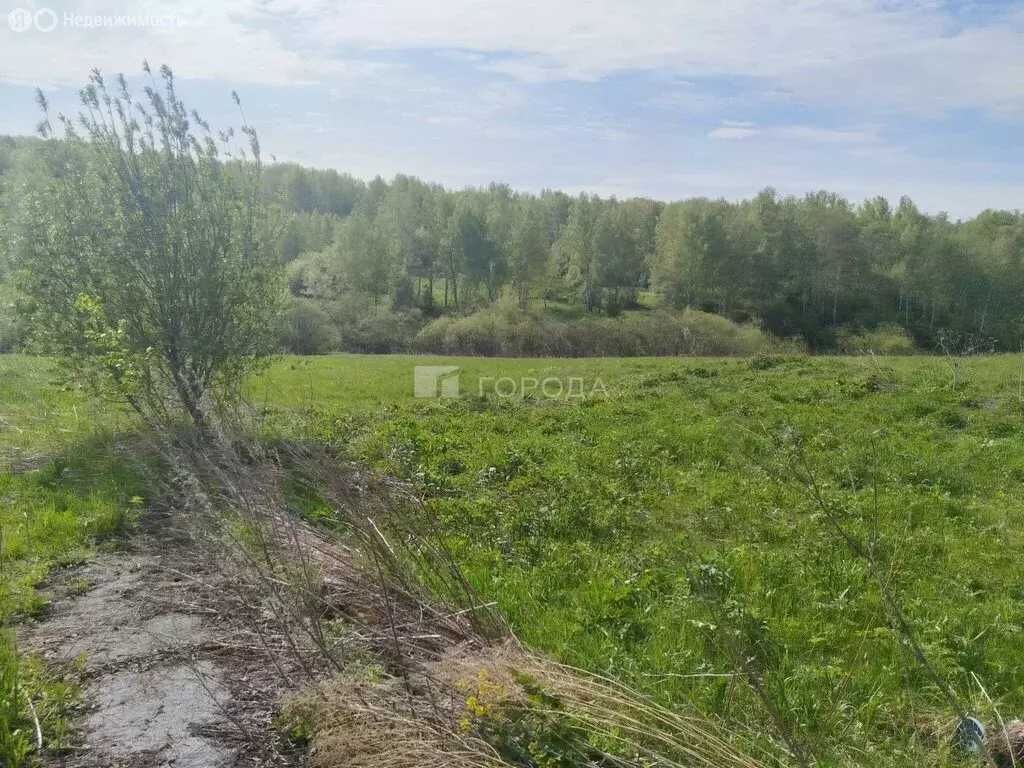 Участок в Раздольненский сельсовет, деревня Мостовая (700 м) - Фото 0