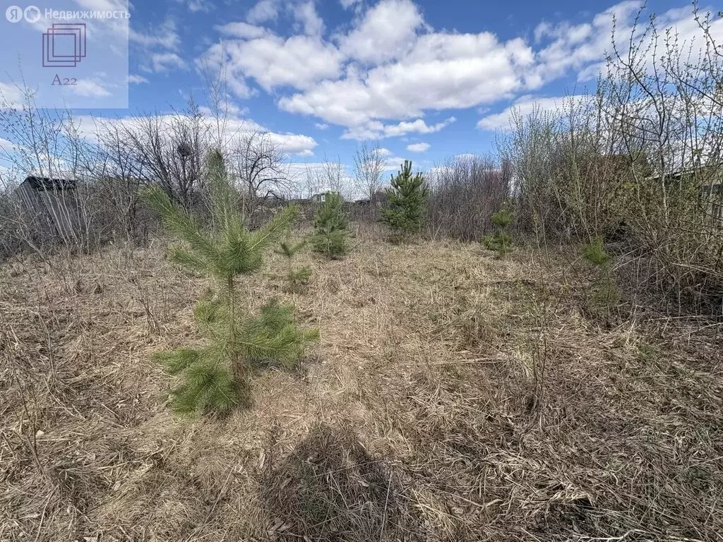 Участок в Алтайский край, городской округ Барнаул, село Власиха (7.1 ... - Фото 2