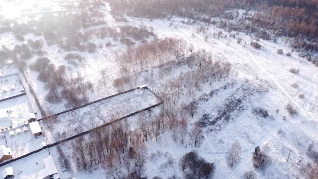 Участок в Владимирская область, Судогодский район, Лавровское ... - Фото 1