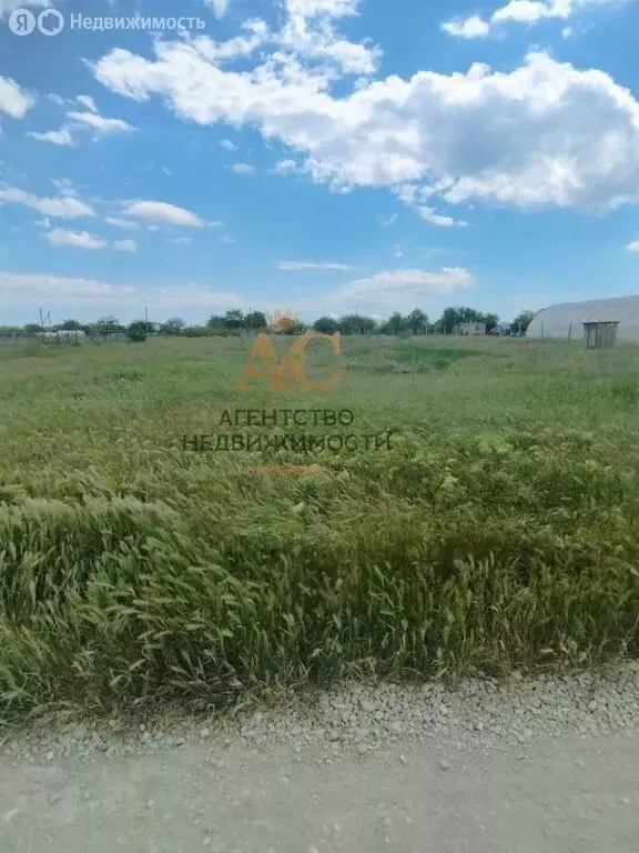 Участок в Приветное, Ореховая улица (15 м) - Фото 2