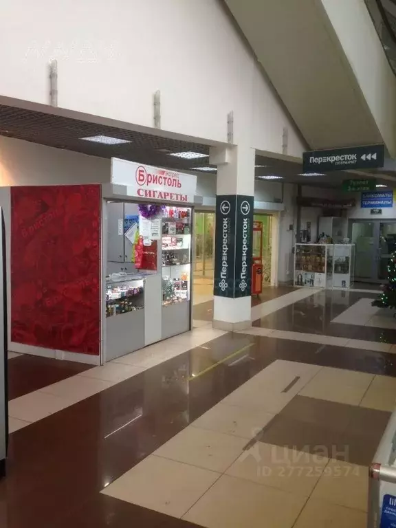 Торговая площадь в Нижегородская область, Нижний Новгород ул. ... - Фото 1