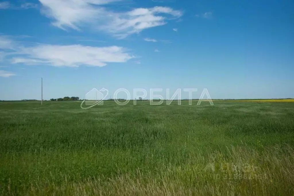 Участок в Тюменская область, Тюменский район, д. Елань  (5.0 сот.) - Фото 1
