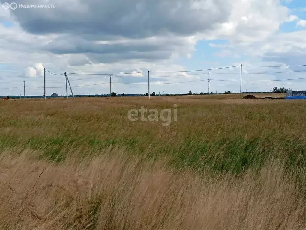 Купить Участок В Петровском Челябинской Области