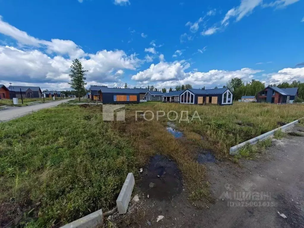 Участок в Новосибирская область, Новосибирский район, Станционный ... - Фото 2