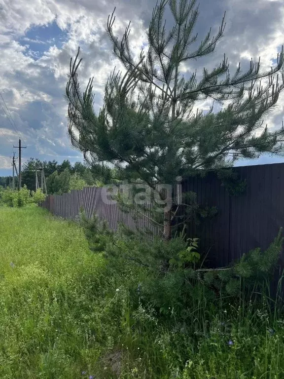 Участок в Тульская область, Алексин городской округ, д. Егнышевка ул. ... - Фото 1