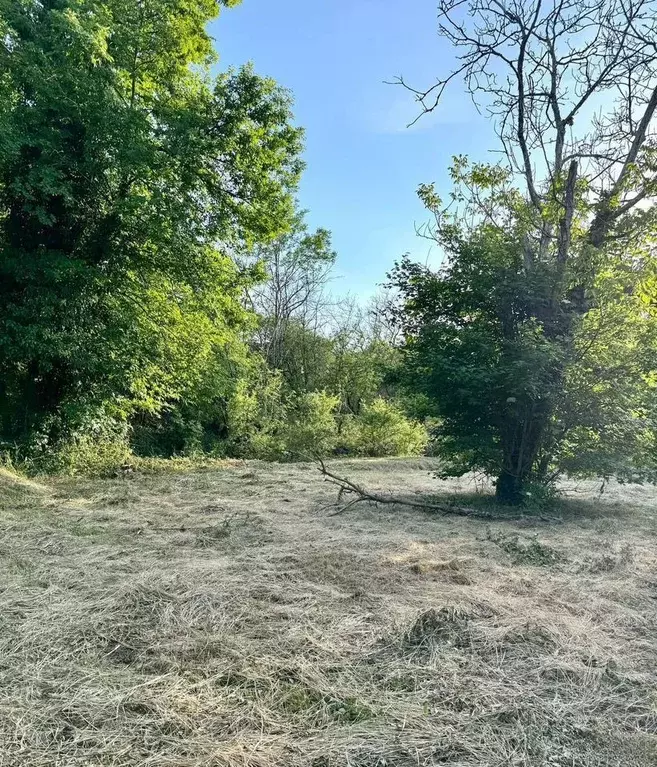 Участок в Краснодарский край, Новороссийск городской округ, с. ... - Фото 2