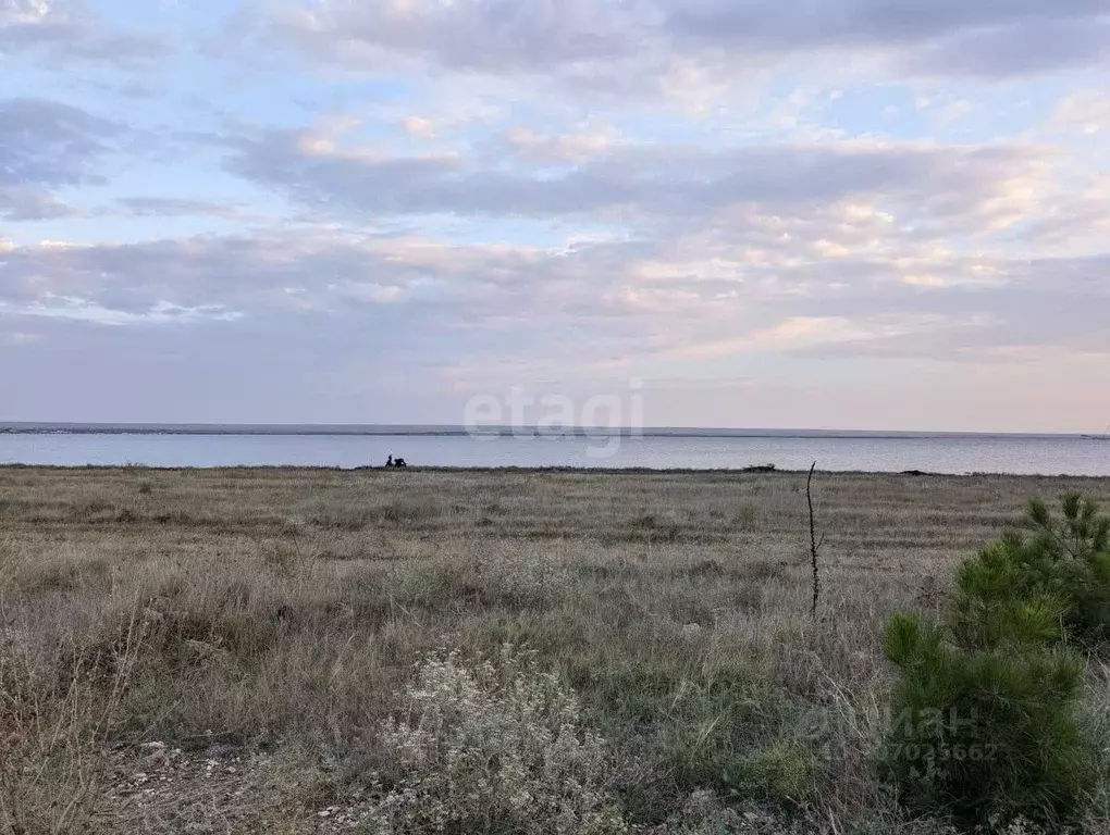 Участок в Крым, Черноморский район, с. Межводное ул. Богдана ... - Фото 0