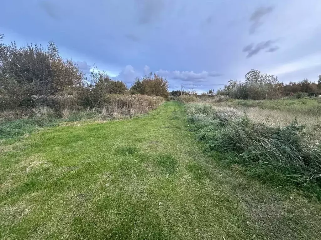 Участок в Калининградская область, Зеленоградский муниципальный округ, ... - Фото 1