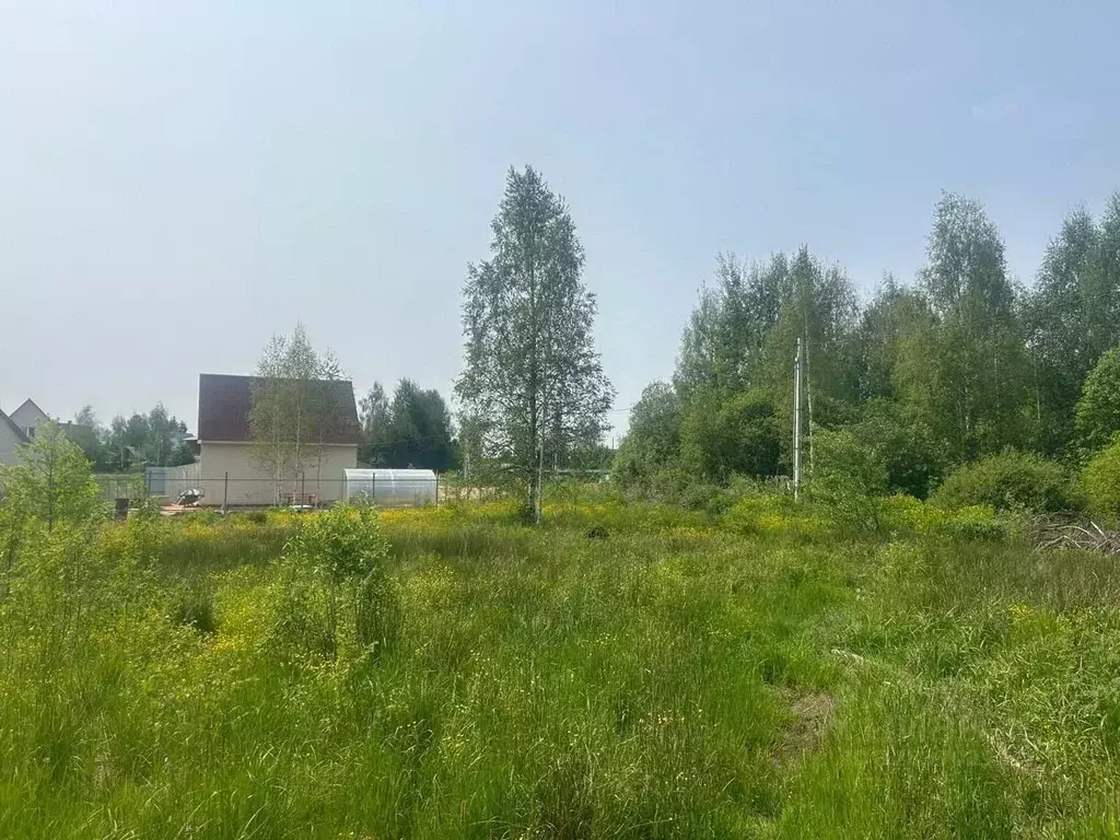 Участок в Московская область, Щелково городской округ, д. Мишнево ул. ... - Фото 2