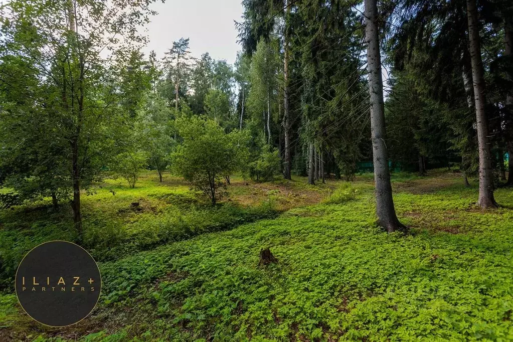 Участок в Москва № 6 кв-л,  (103.0 сот.) - Фото 1