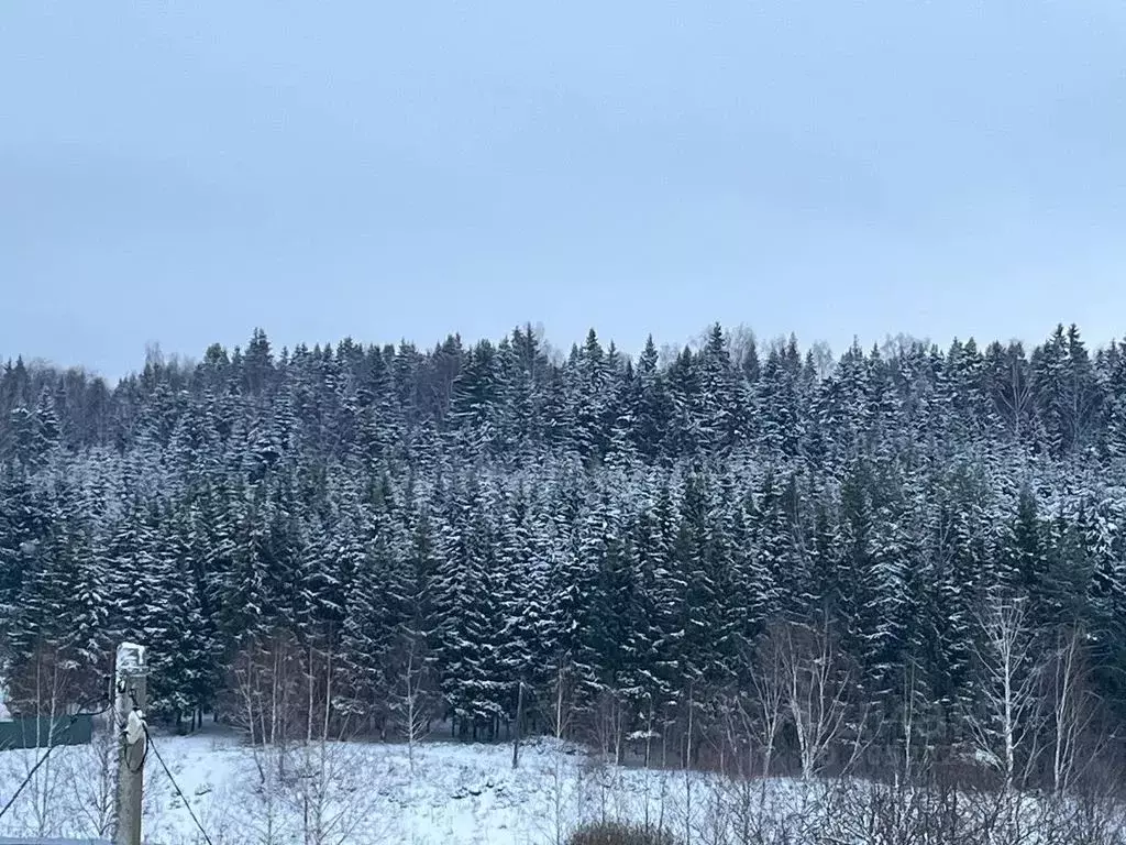 Дом в Ярославская область, Ярославский муниципальный округ, д. ... - Фото 2
