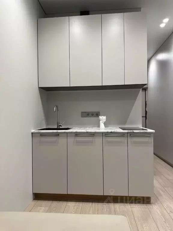 Студия Московская область, Одинцовский городской округ, Новоивановское ... - Фото 1