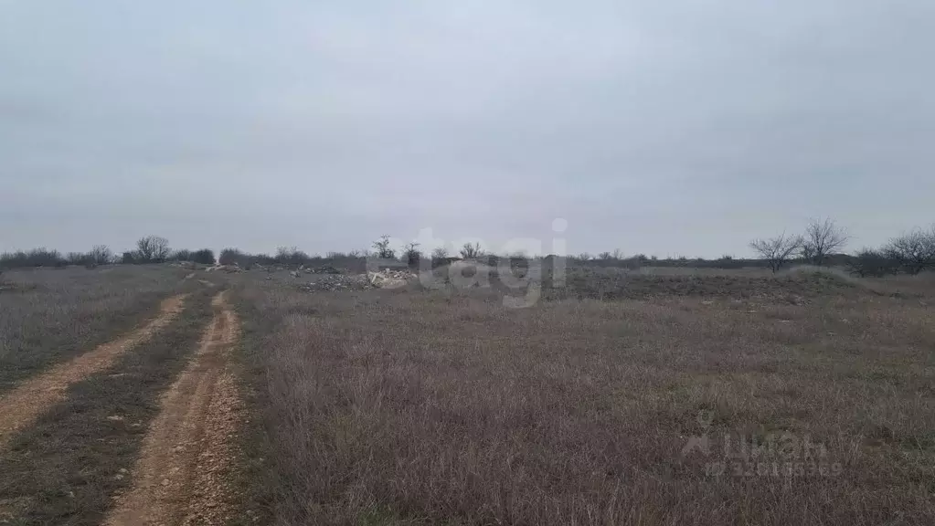 Участок в Крым, Сакский район, Штормовское с/пос, с. Хуторок  (6.5 ... - Фото 1