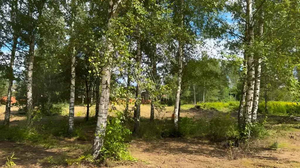 Участок в Московская область, Красногорск городской округ, д. ... - Фото 2
