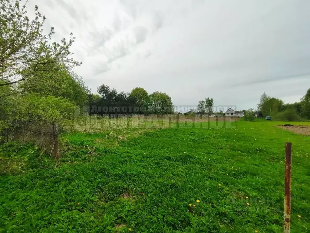 Участок в Смоленская область, Смоленский муниципальный округ, д. ... - Фото 1