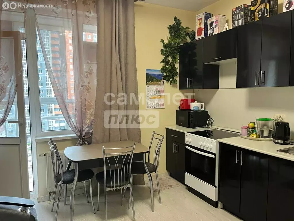 Квартира-студия: деревня Анкудиновка, Русская улица, 1 (22.6 м) - Фото 2