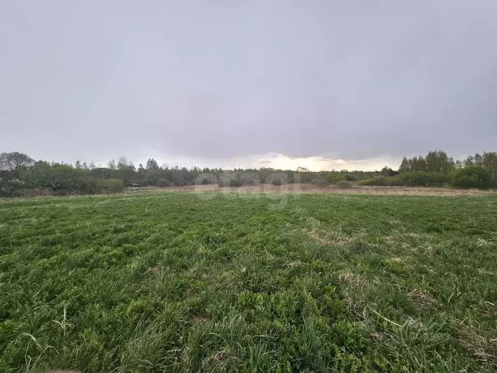 Участок в Смоленская область, Руднянский муниципальный округ, д. ... - Фото 1