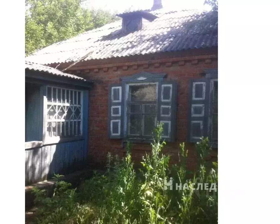 хутор верхние грачики каменского района ростовской области. грачики каменский район. хутор верхние грачики. верхние грачики. верхние грачики (каменский район).